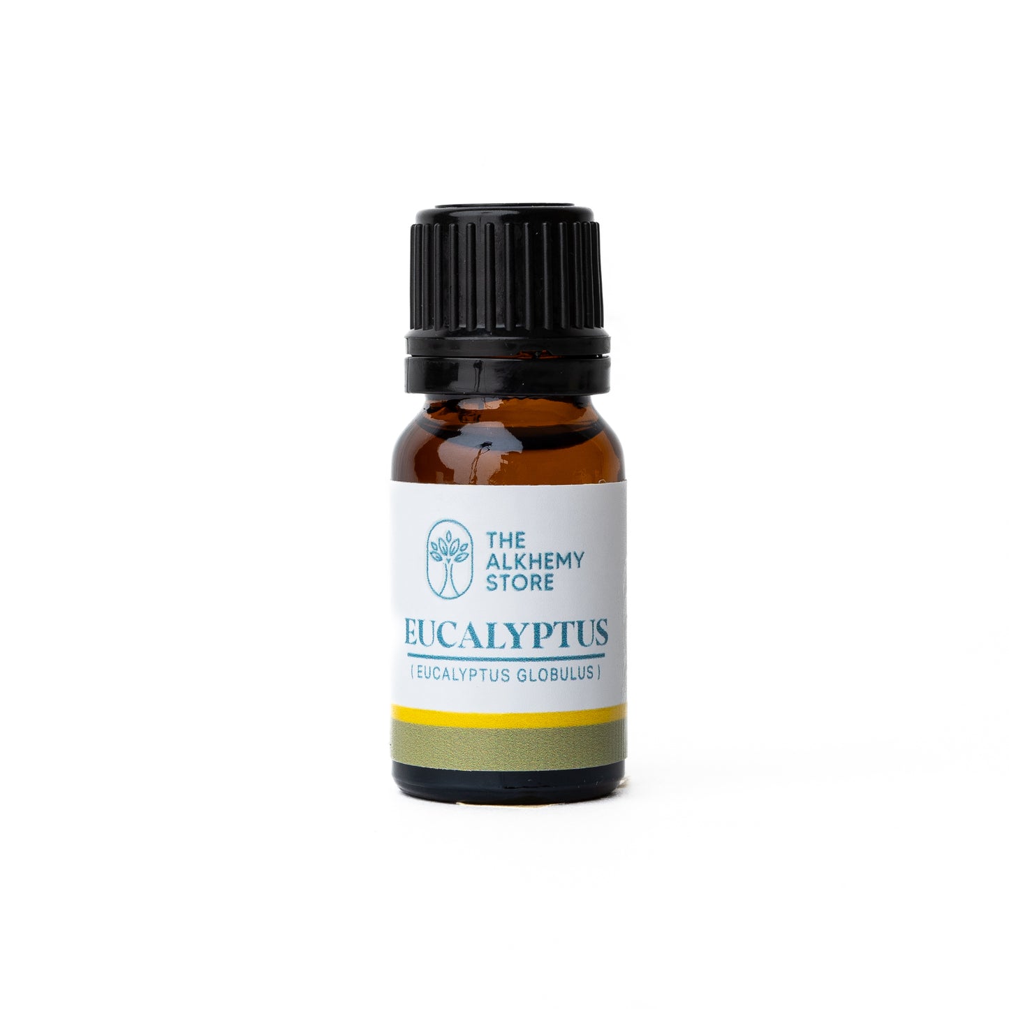 Eucalyptus Globulus - Essential Oil