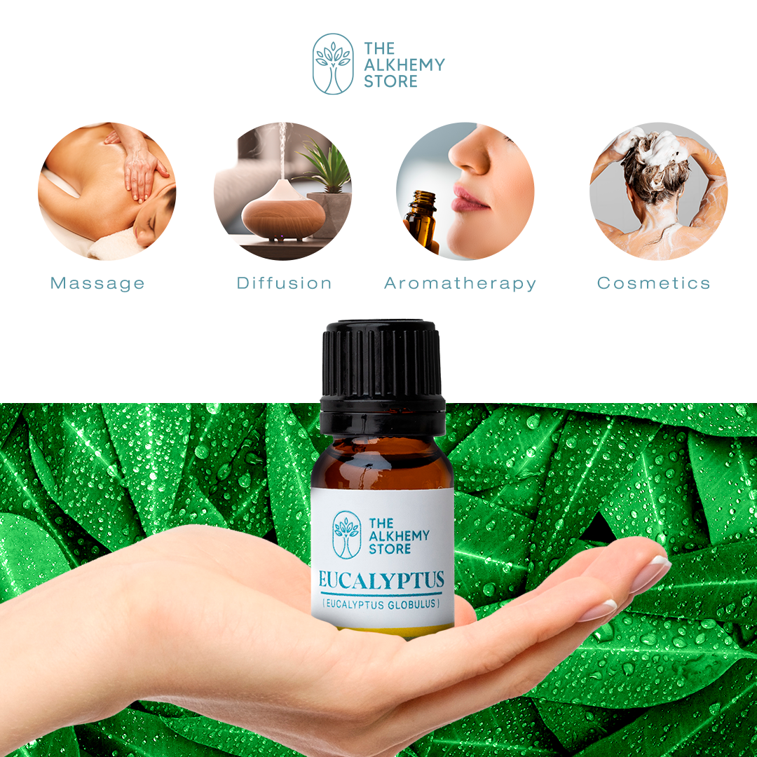 Eucalyptus Globulus - Essential Oil