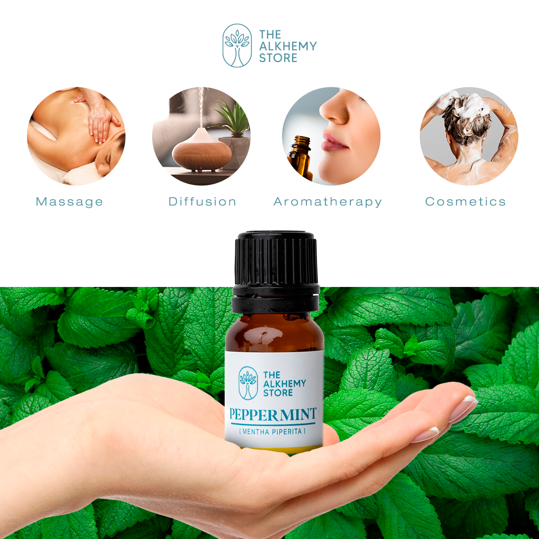 Peppermint - Essential Oil