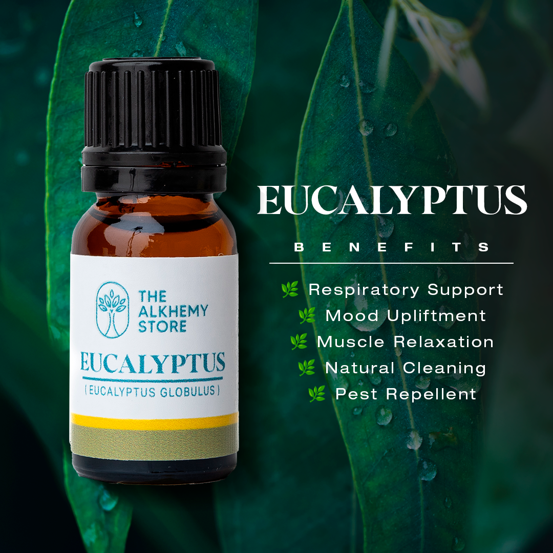 Eucalyptus Globulus - Essential Oil