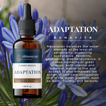 Adaptation - Flower Remedy