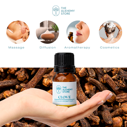 Clove - Essential Oil