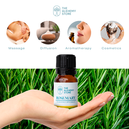 Rosemary - Essential Oil