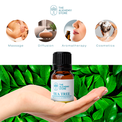 Tea Tree Australian - Essential Oil