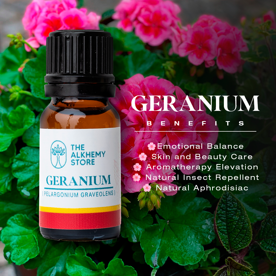 Geranium - Essential Oil