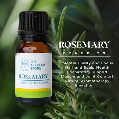 Rosemary - Essential Oil