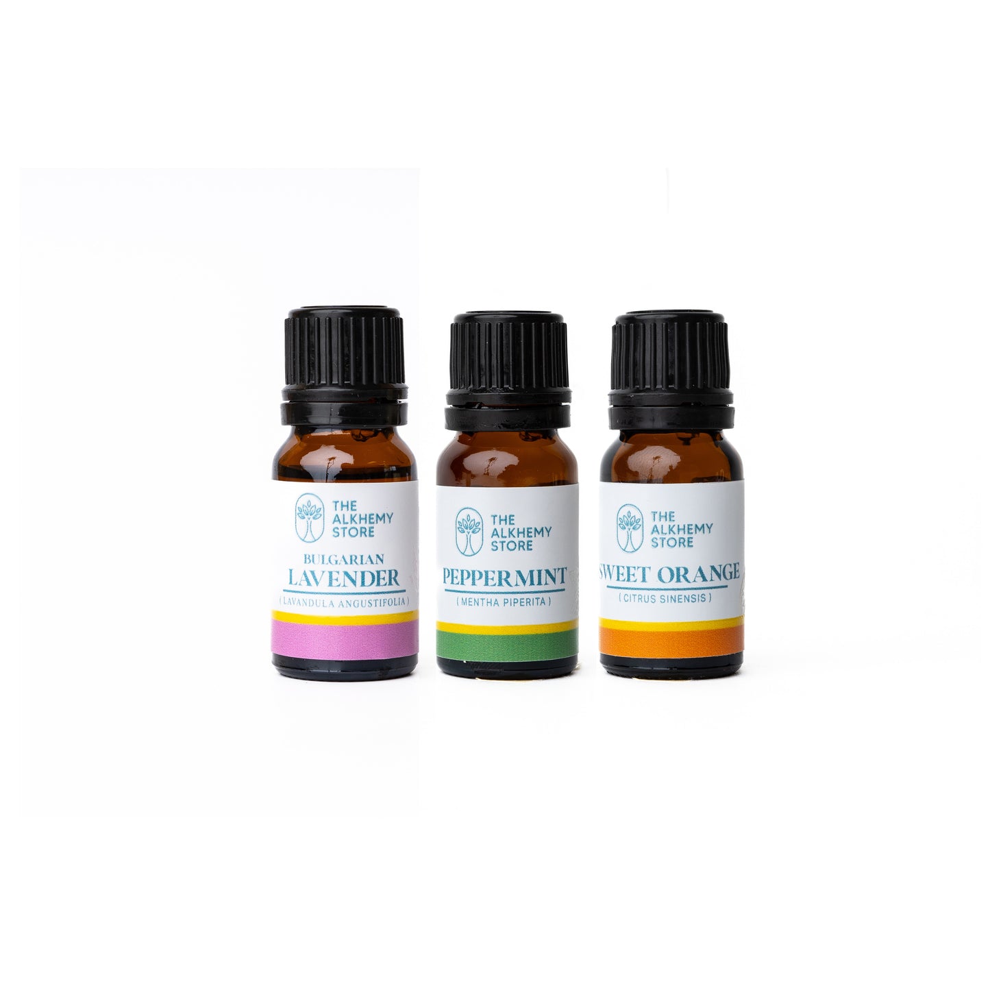 Starter Kit - Essential Oil